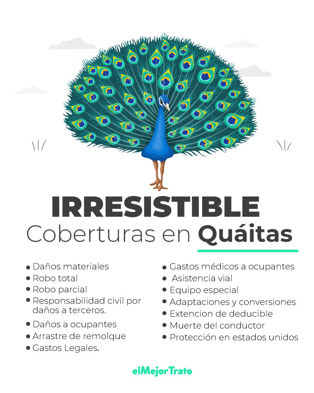 Cotizar Seguro de Auto QUÁLITAS | Opiniones