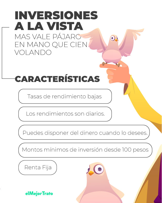 ¿Qué es un cheque a inversión vista? – Descubre sus características