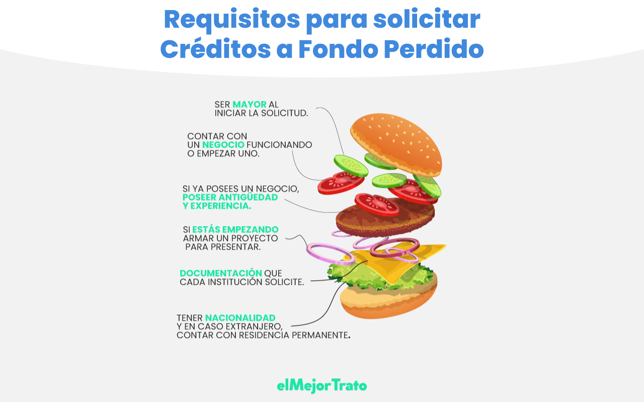 Cómo solicitar un préstamo a fondo perdido, requisitos y más